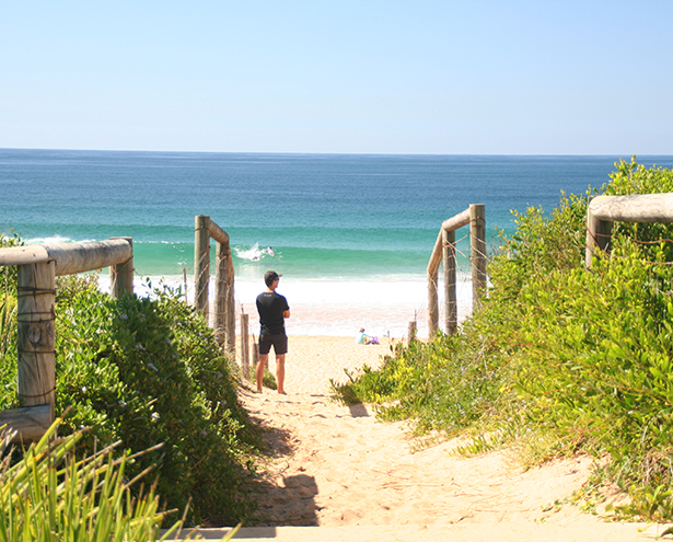 Narrabeen Chamber Commerce: photography